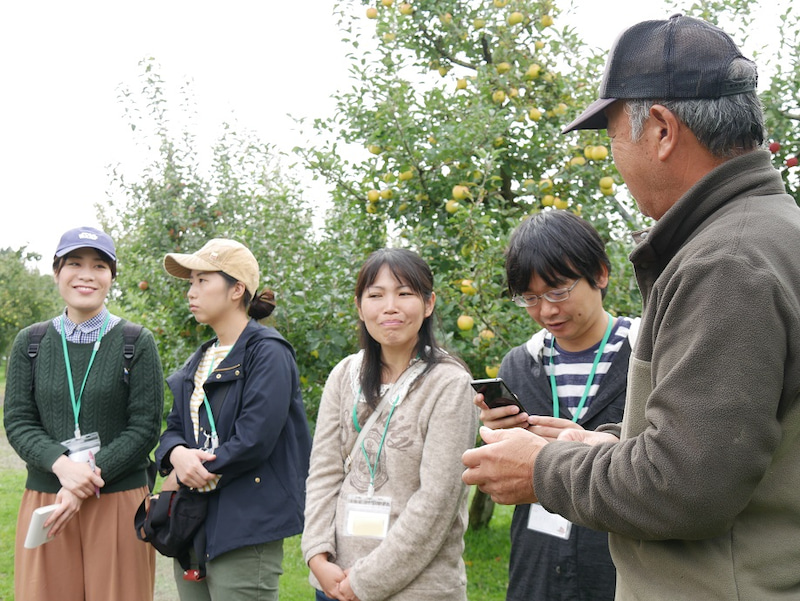 佐藤秀果園　リンゴの収穫体験